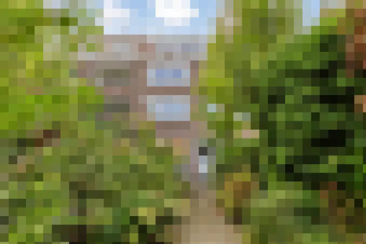 Berglustlaan 60 B 02 Rotterdam thumbnail 28