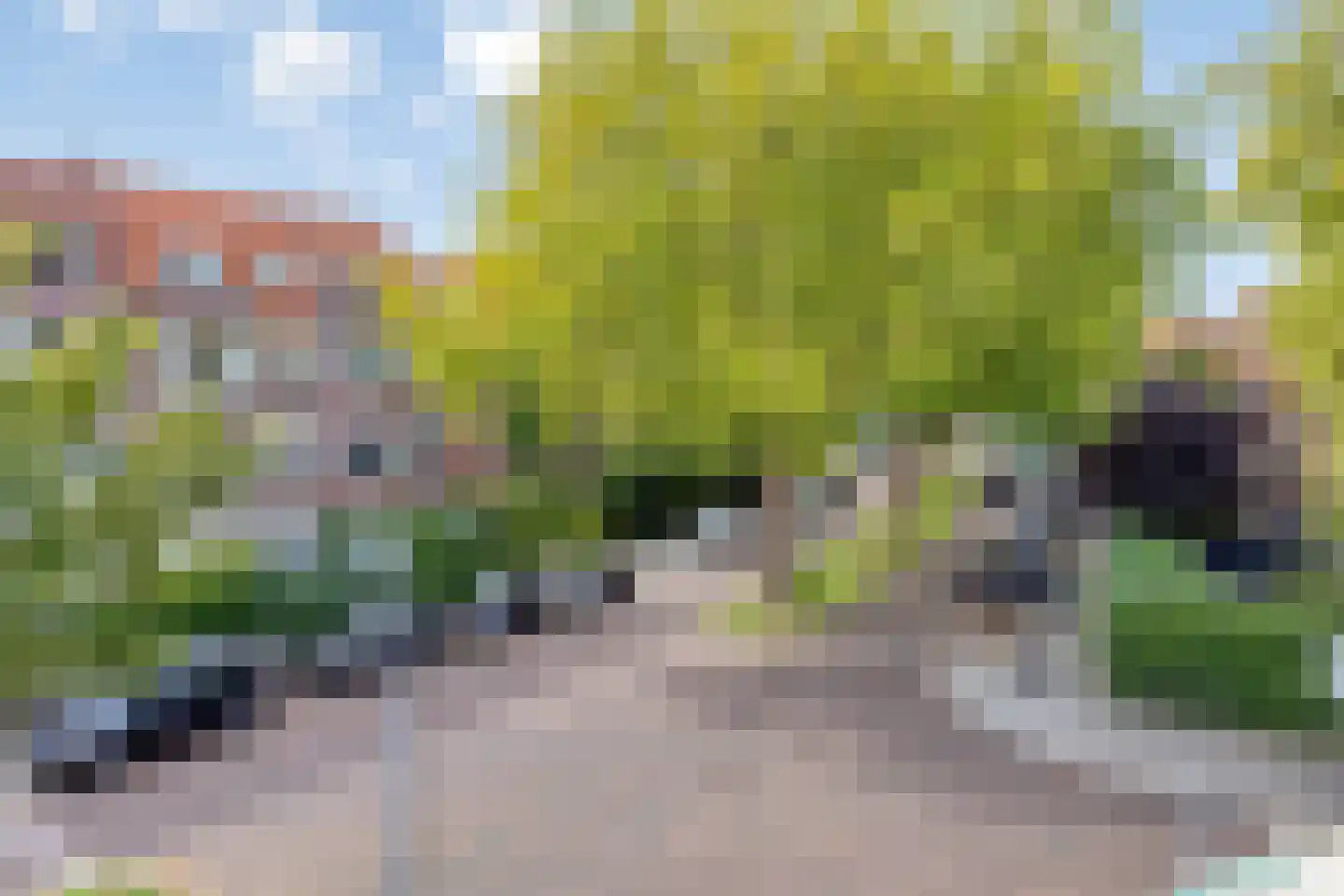 Berglustlaan 60 B 02 Rotterdam thumbnail 5