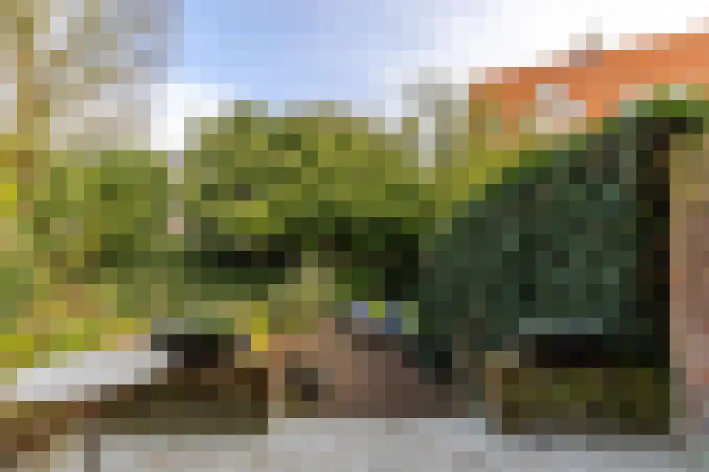 Berglustlaan 74 Rotterdam thumbnail 10