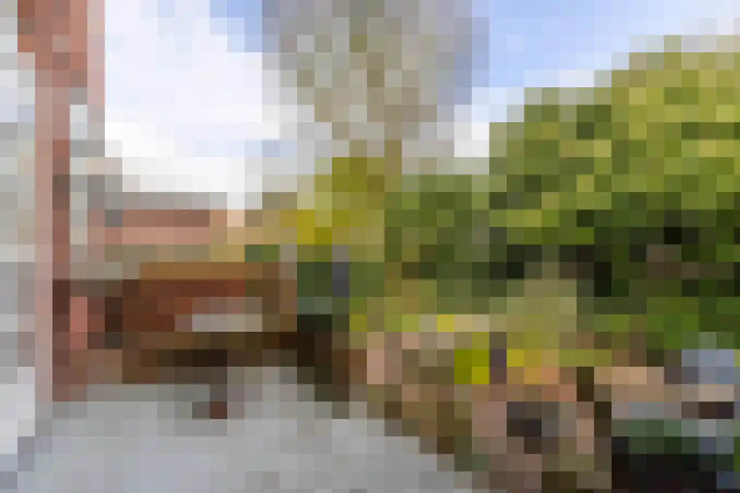 Berglustlaan 74 Rotterdam thumbnail 11