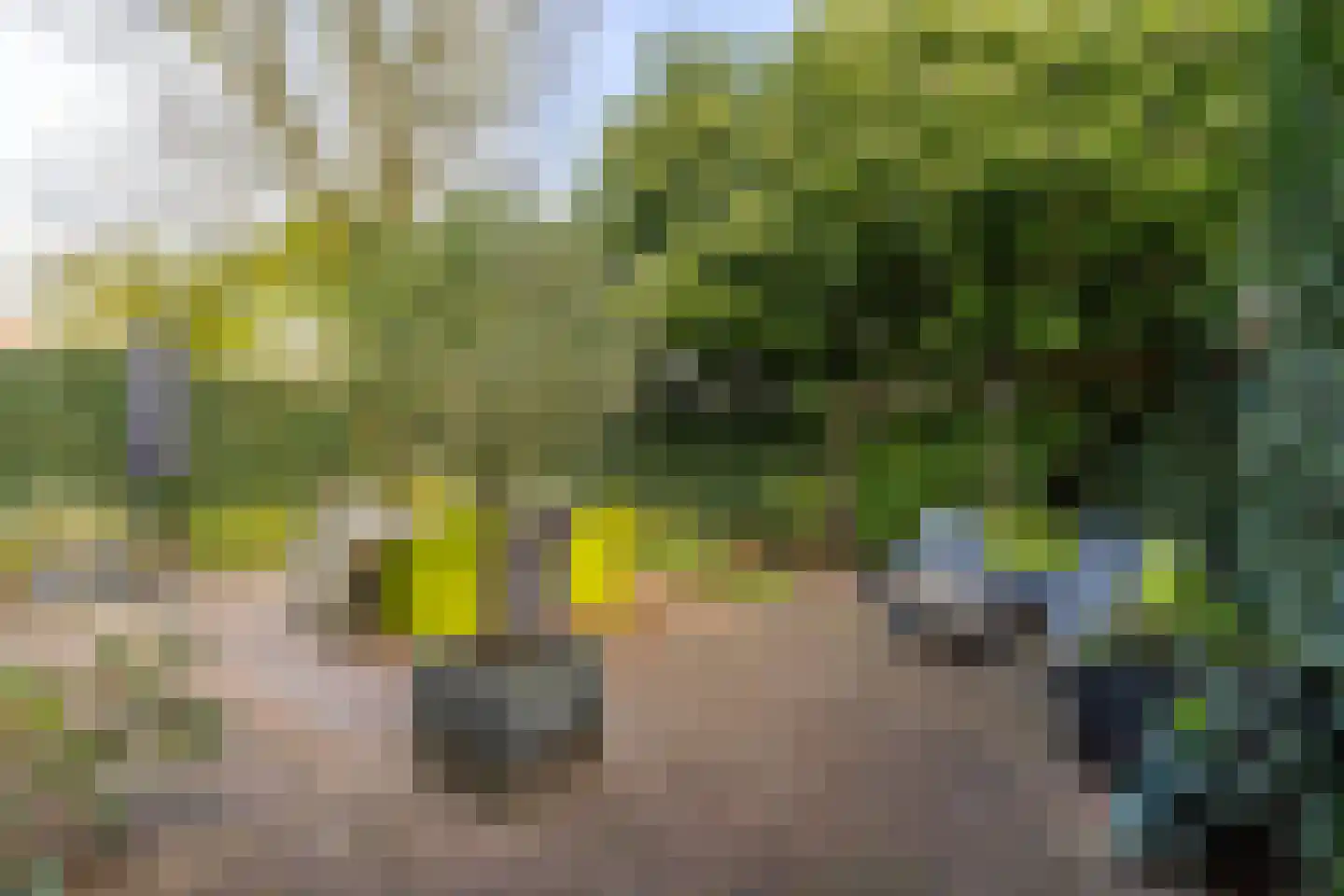 Berglustlaan 74 Rotterdam thumbnail 12