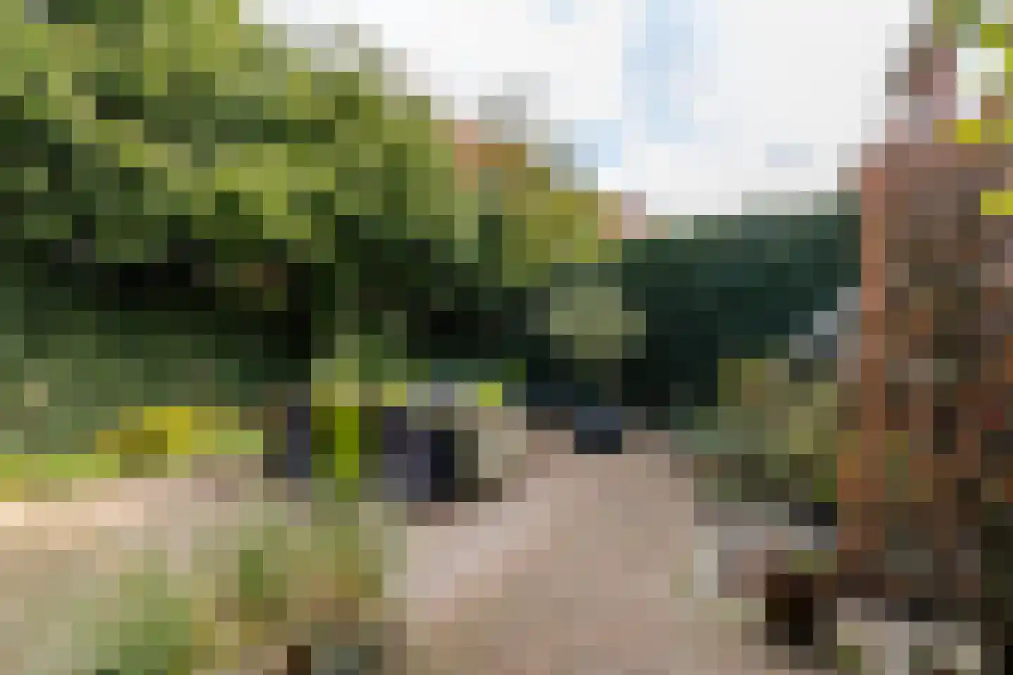 Berglustlaan 74 Rotterdam thumbnail 13
