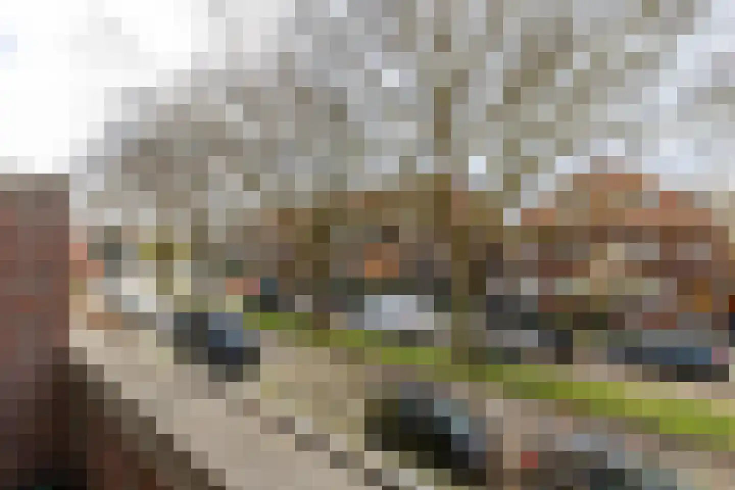 Berglustlaan 74 Rotterdam thumbnail 43