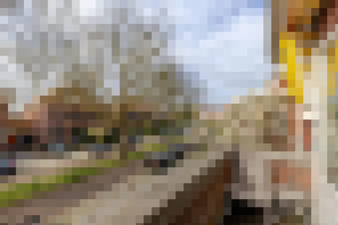 Berglustlaan 74 Rotterdam thumbnail 44