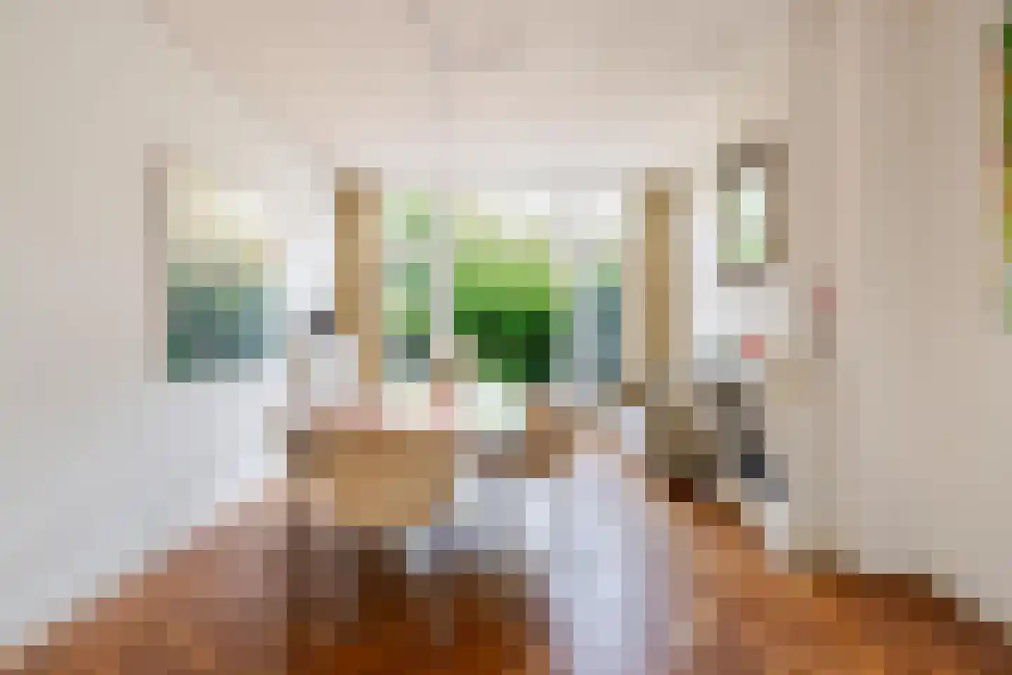 Berglustlaan 74 Rotterdam thumbnail 8