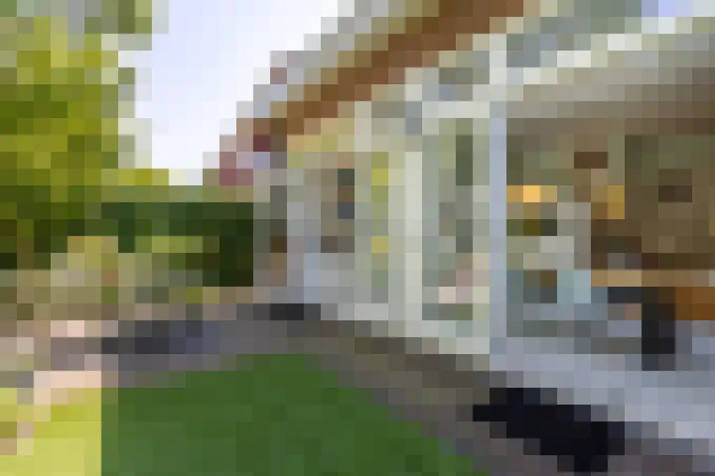 Berglustlaan 76 Rotterdam thumbnail 34