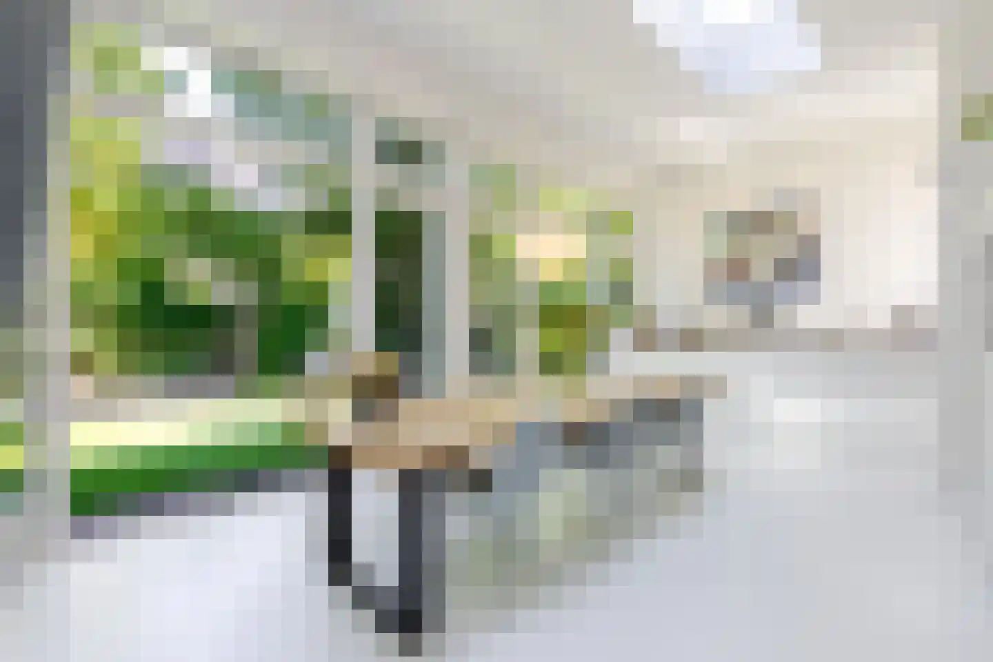 Berglustlaan 76 Rotterdam thumbnail 4