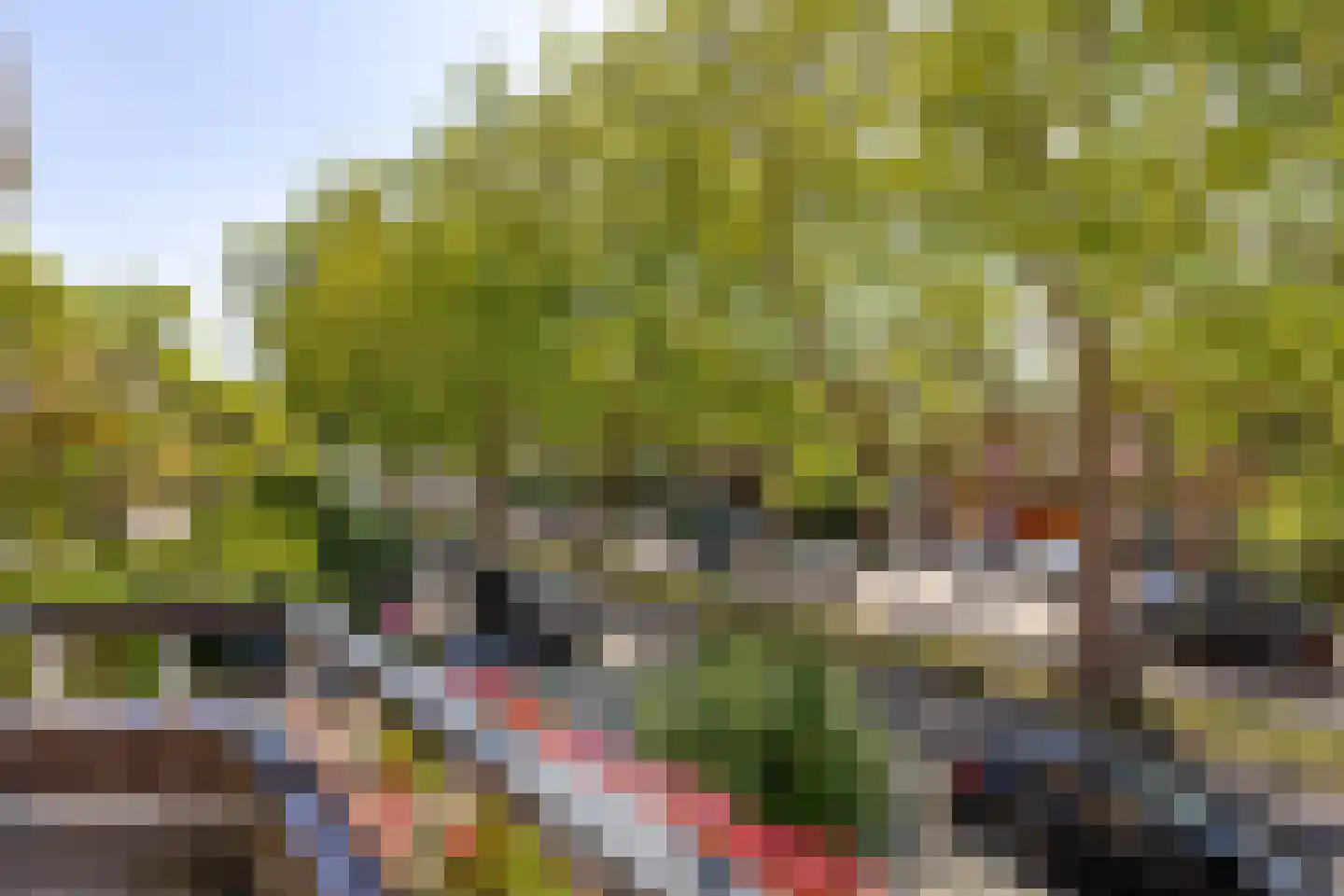 Berglustlaan 76 Rotterdam thumbnail 52