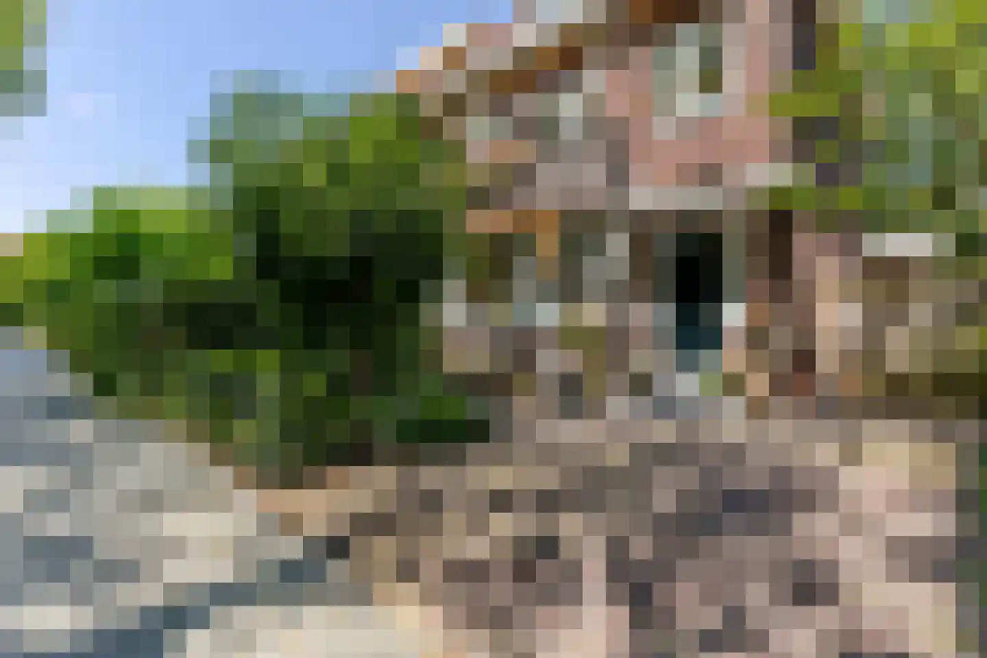 Berglustlaan 76 Rotterdam thumbnail 68