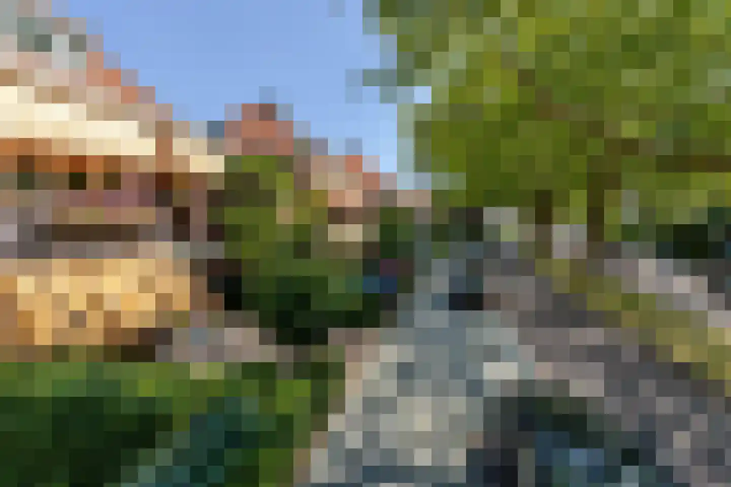 Berglustlaan 76 Rotterdam thumbnail 71