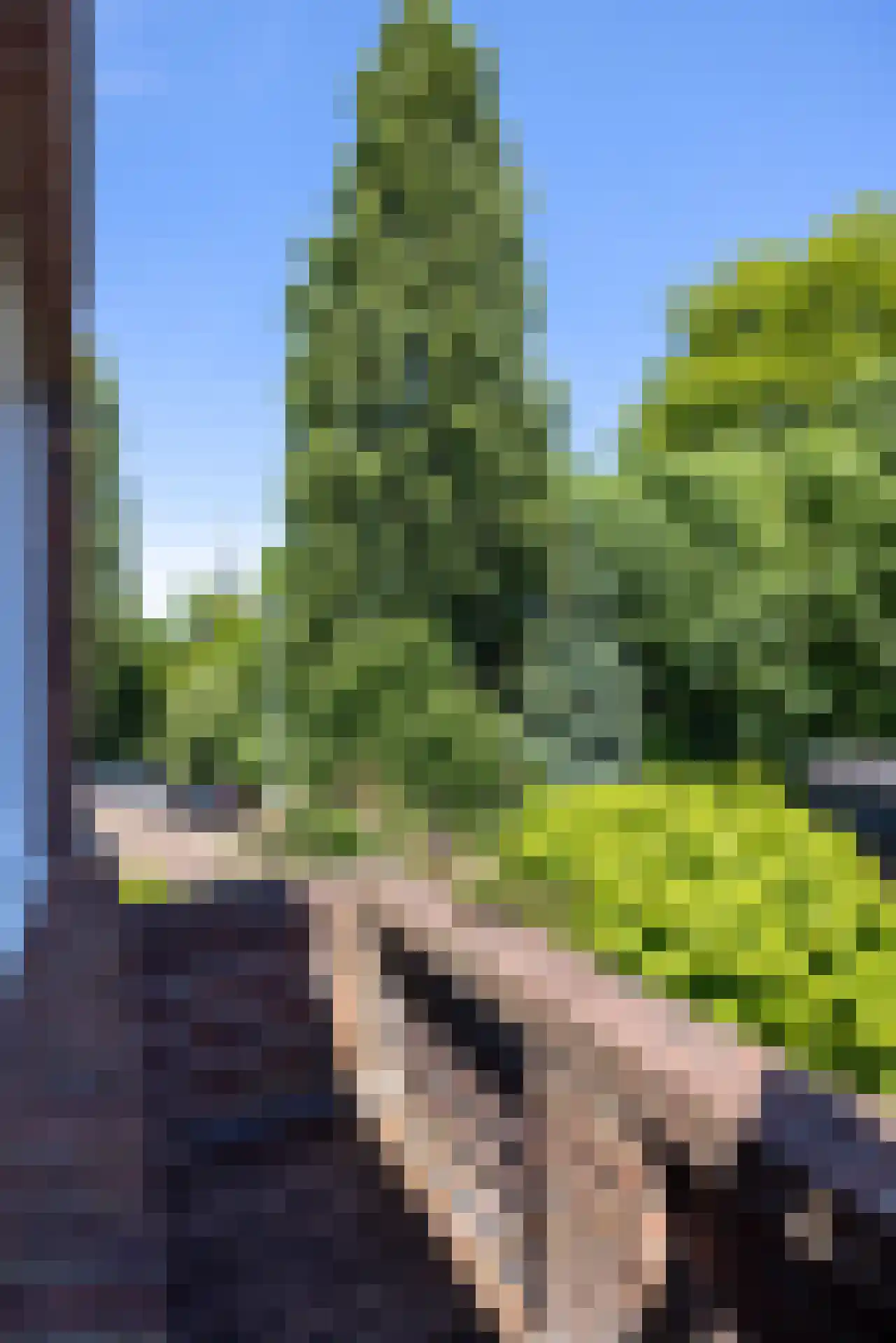 Bergluststraat 7 Rotterdam thumbnail 17