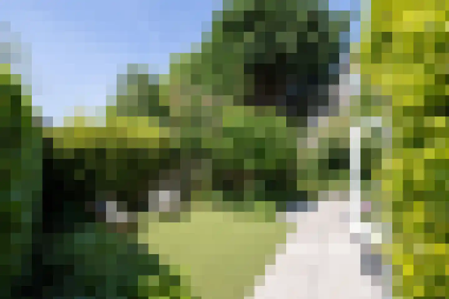 Bergluststraat 7 Rotterdam thumbnail 38