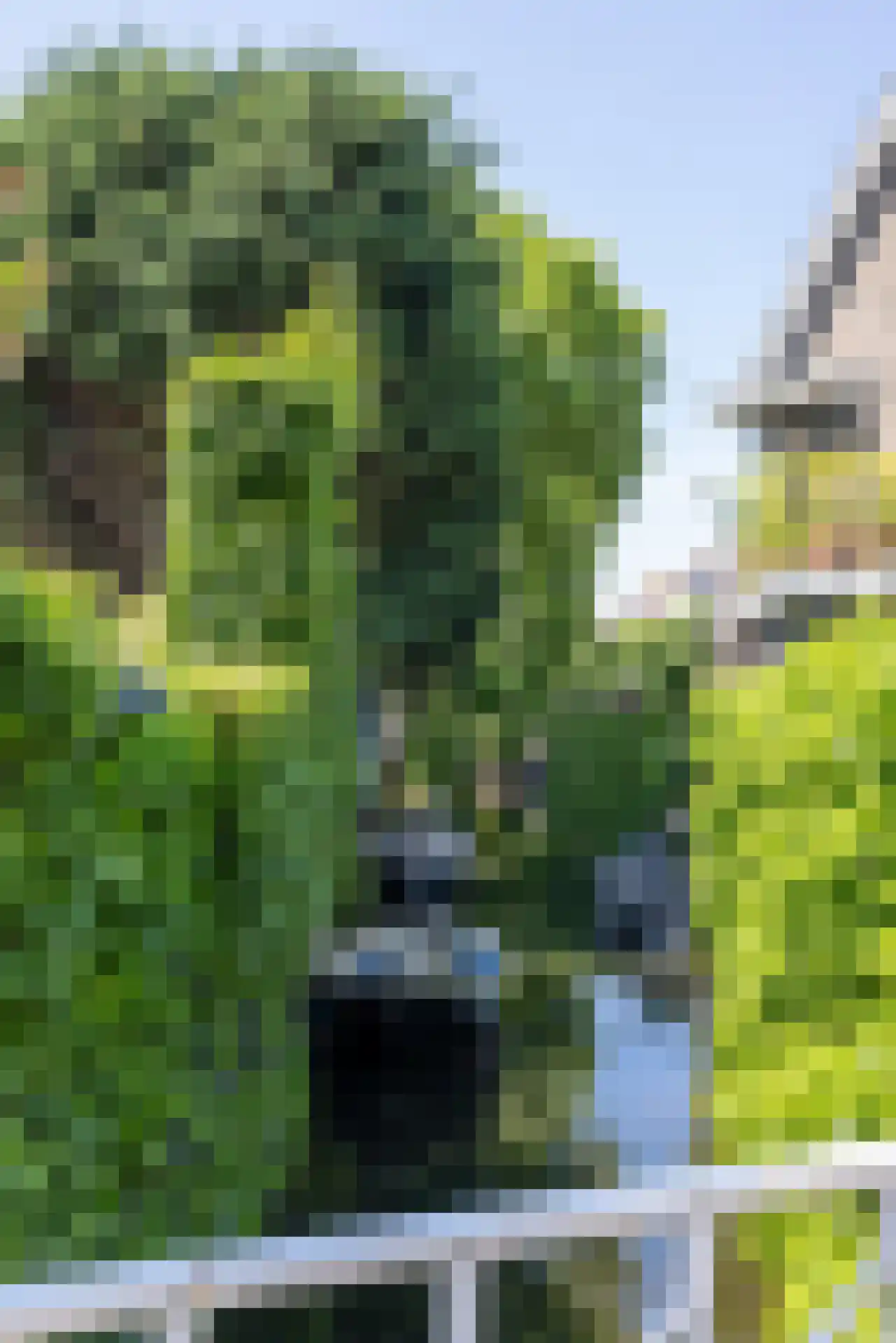 Bergluststraat 7 Rotterdam thumbnail 42