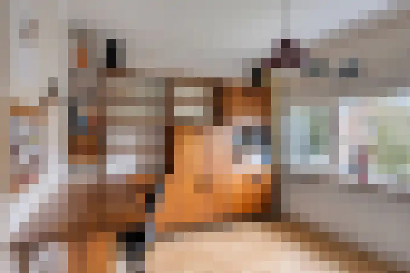 Bergmannstraat 75 Eindhoven thumbnail 14
