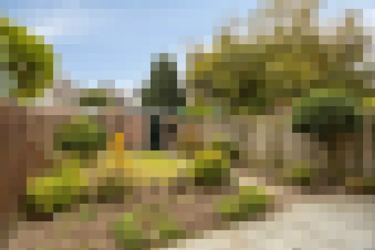 Bergmannstraat 75 Eindhoven thumbnail 18