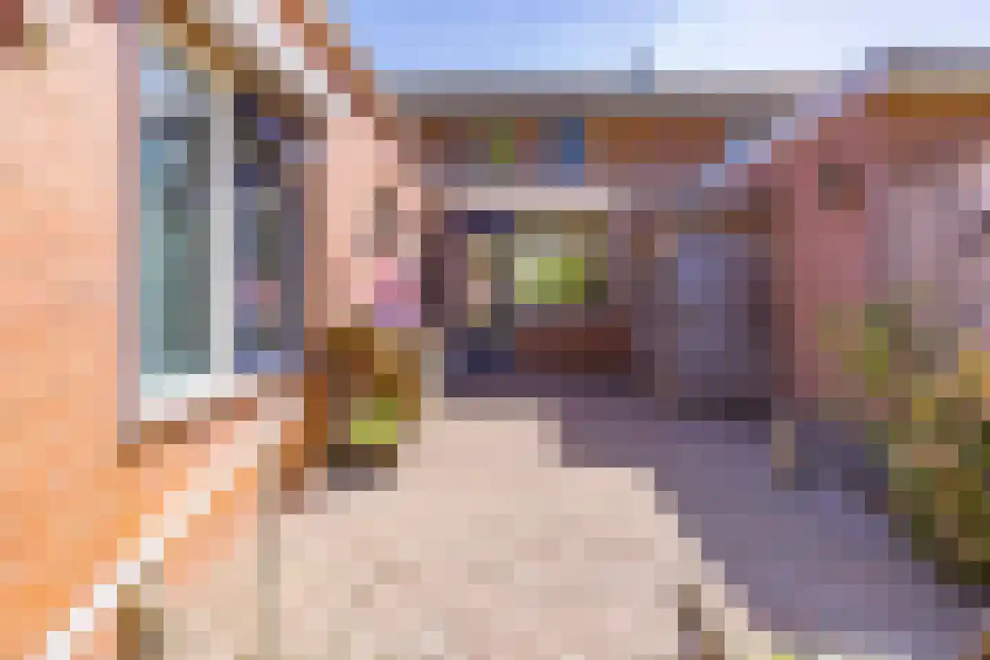 Bergmans-Beinsstraat 9 Borger thumbnail 29