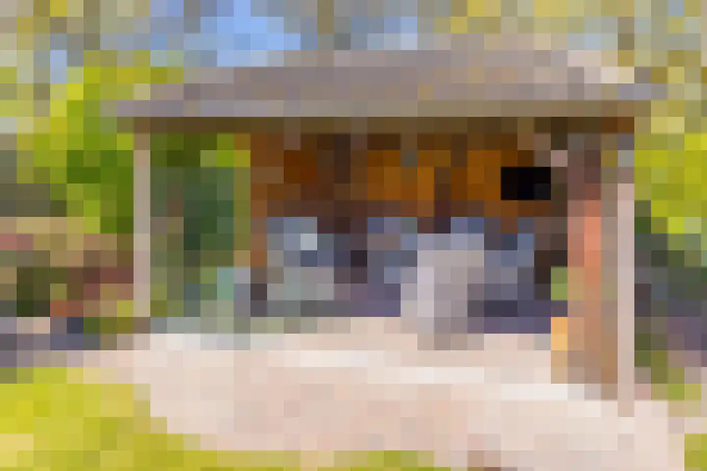 Bergmans-Beinsstraat 9 Borger thumbnail 35