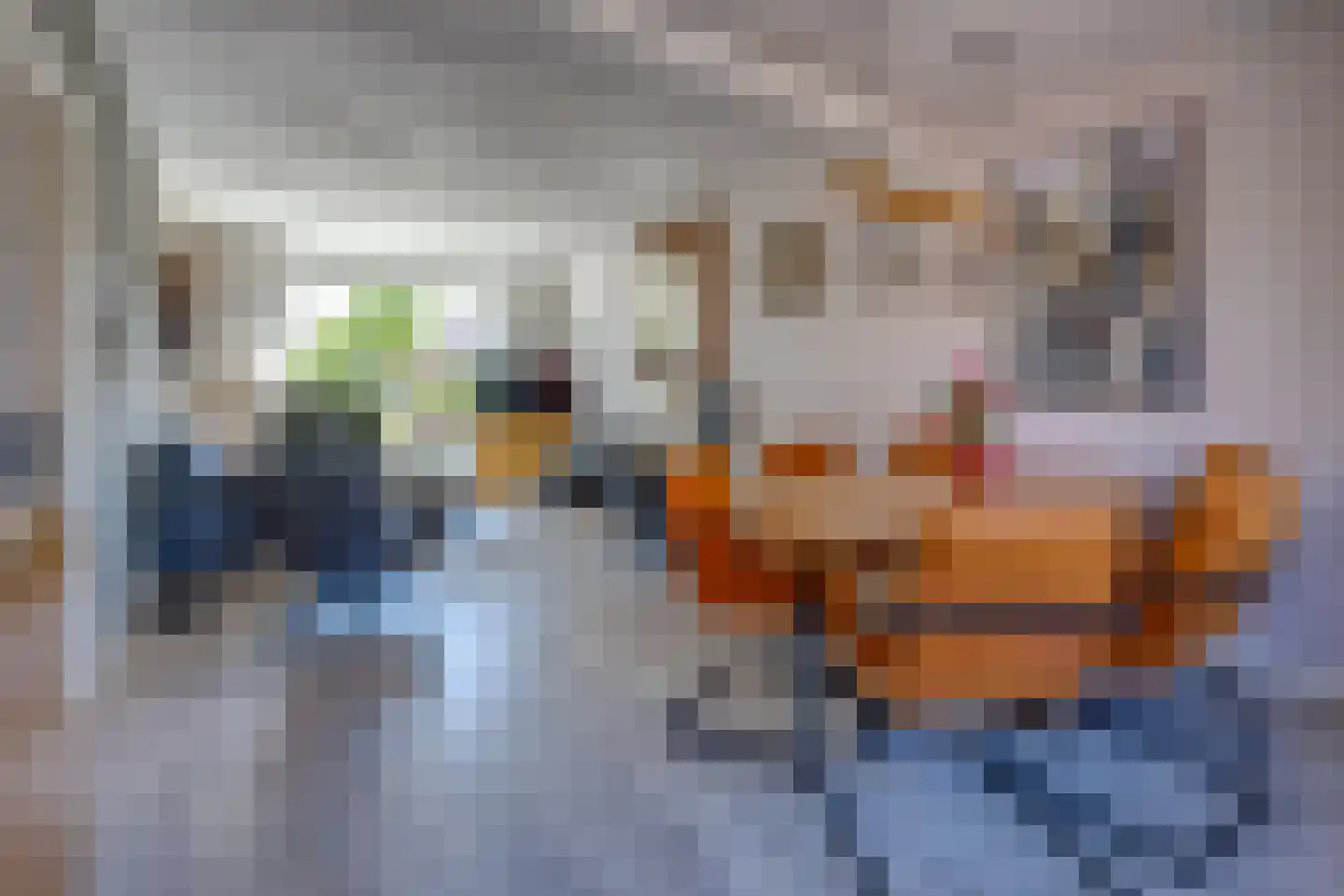 Bergmans-Beinsstraat 9 Borger thumbnail 6