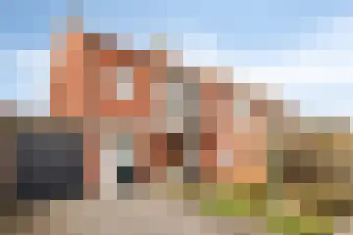 Bergmanstraat 8 Holten thumbnail 20