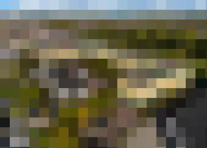 Bergmolen 10 Heerhugowaard thumbnail 13