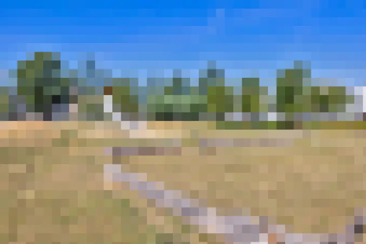 Bergmolen 10 Maassluis thumbnail 38