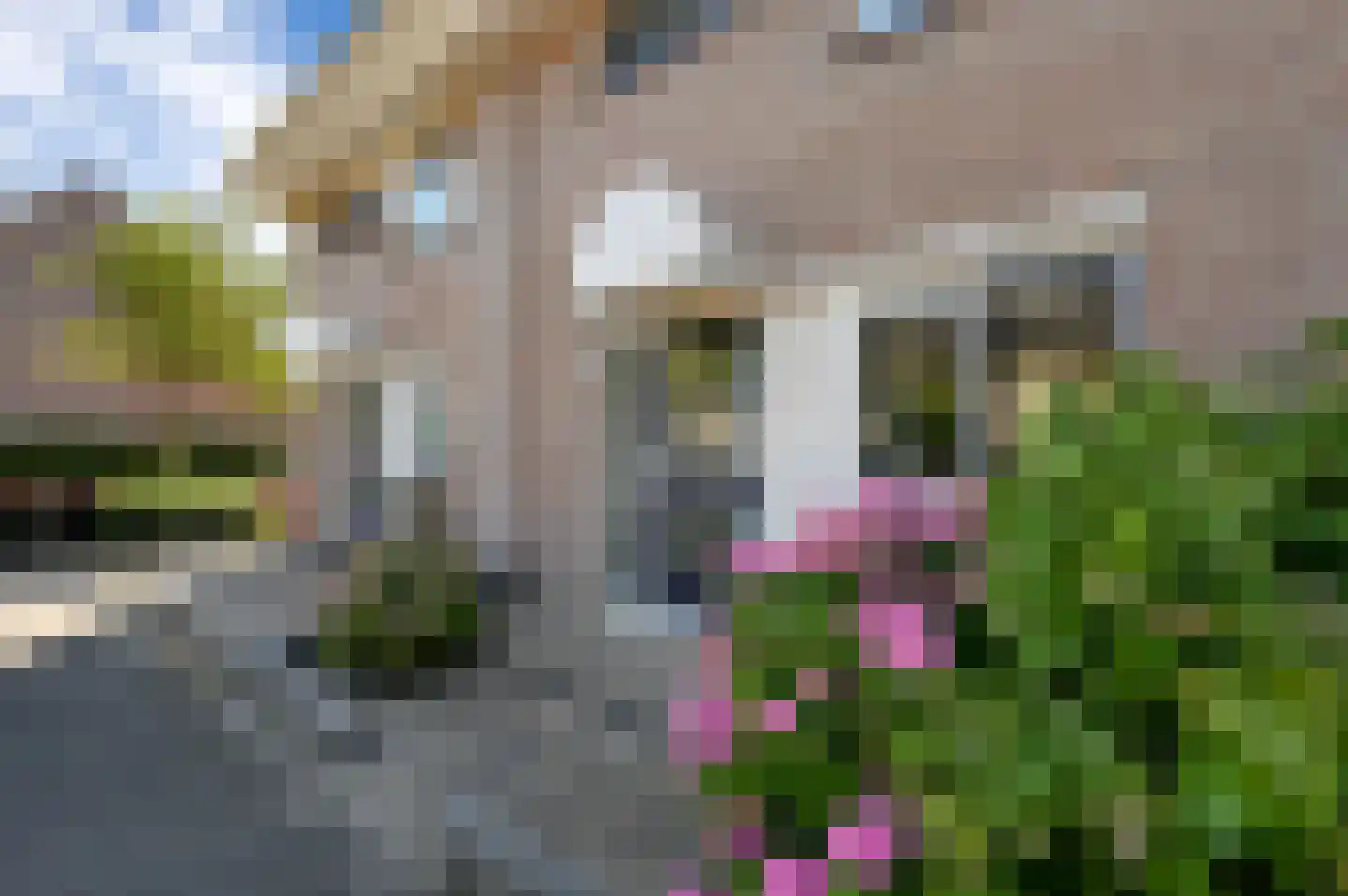Bergmolen 10 Maassluis thumbnail 5