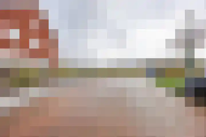 Bergmolen 20 Loosbroek thumbnail 38