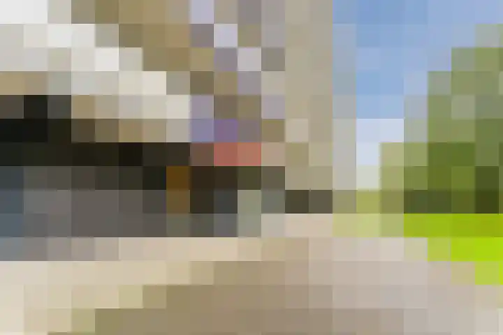 Bergmolen 23 Amsterdam thumbnail 11