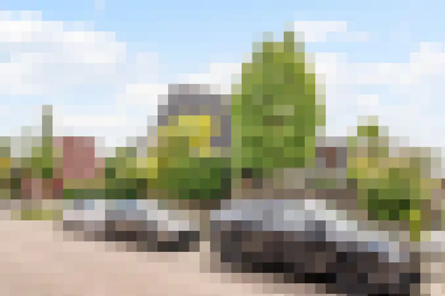 Bergmolen 24 Bleiswijk thumbnail 31