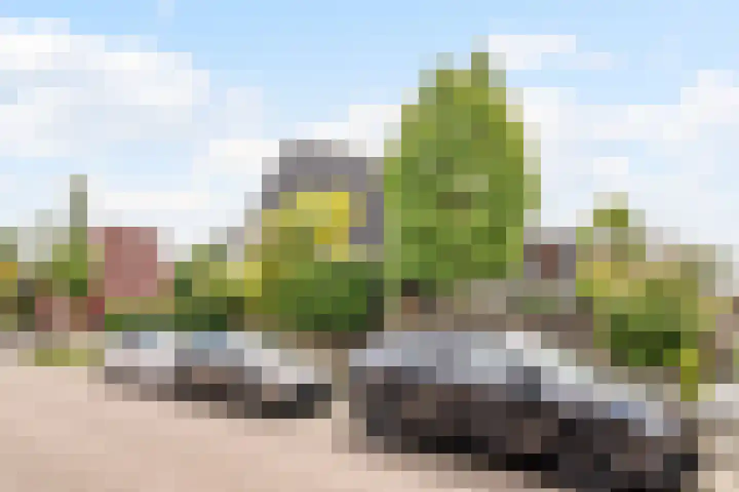 Bergmolen 24 Bleiswijk thumbnail 37