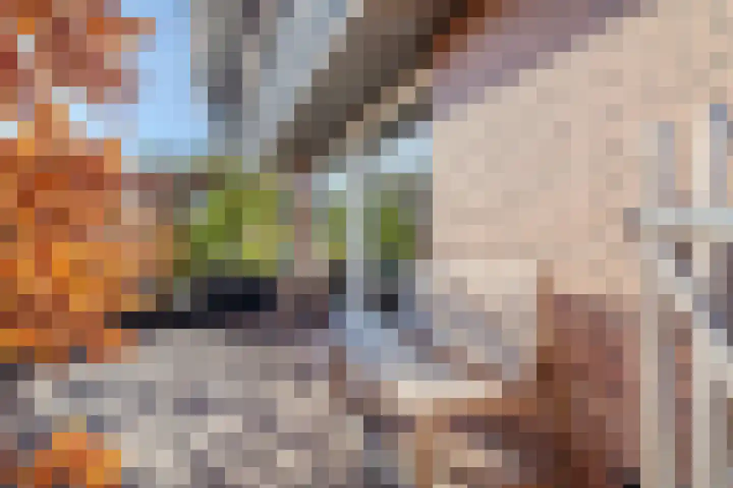 Bergmolen 24 Bleiswijk thumbnail 6