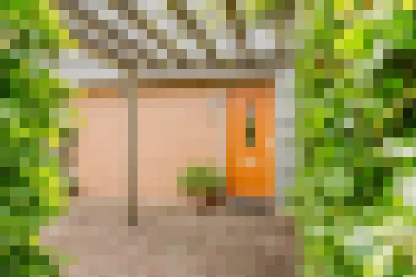 Bergmolen 24 Bleiswijk thumbnail 7