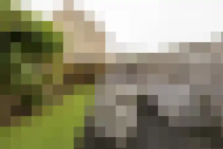 Bergmolen 27 Alphen aan den Rijn thumbnail 16