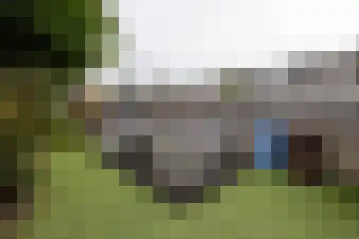 Bergmolen 27 Alphen aan den Rijn thumbnail 17