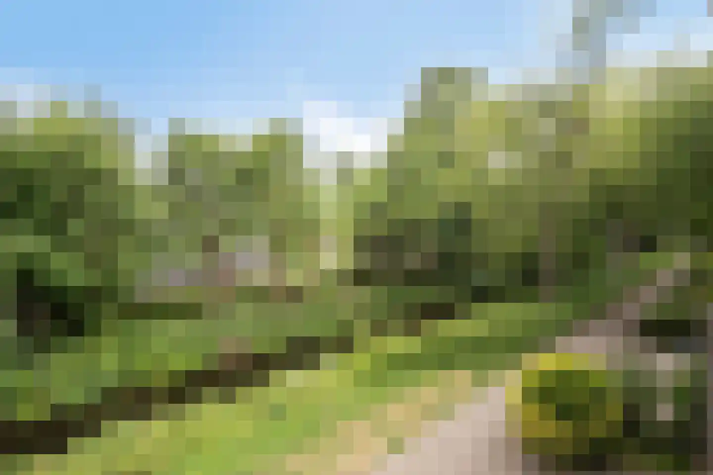 Bergmolen 29 Alphen aan den Rijn thumbnail 39