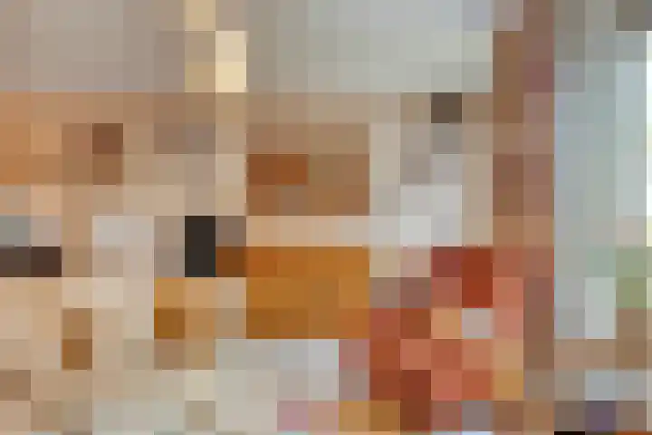 Bergmolen 3 Dinteloord thumbnail 12