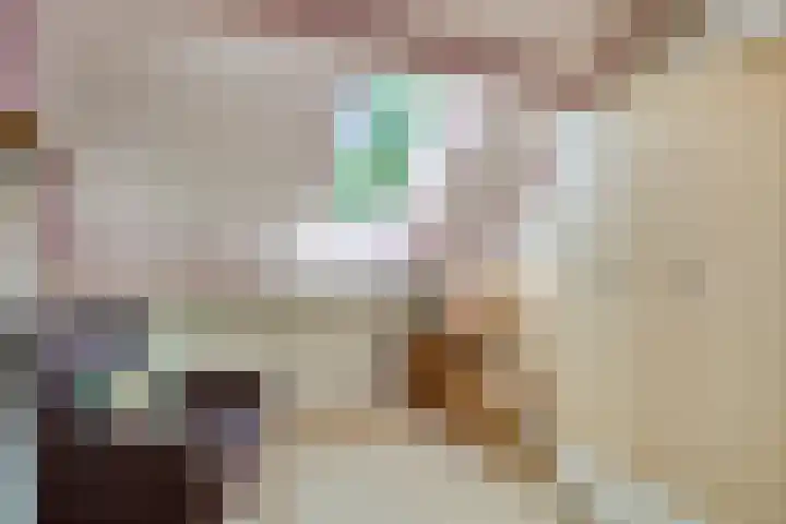 Bergmolen 3 Dinteloord thumbnail 20