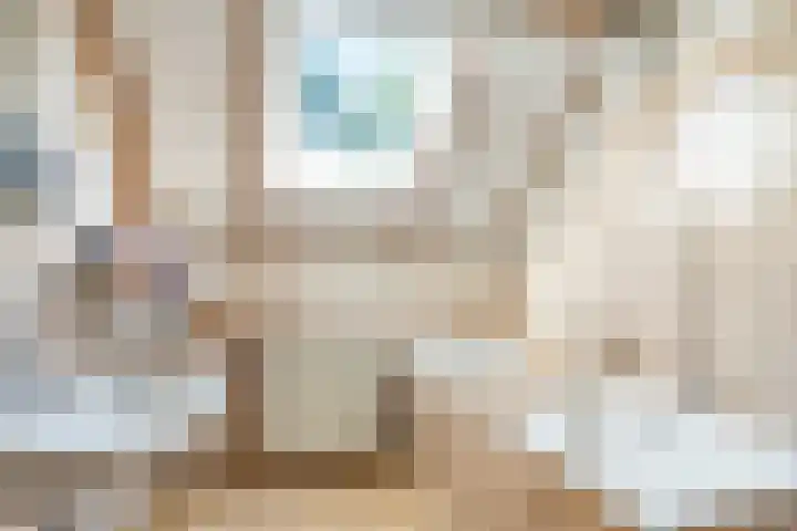 Bergmolen 3 Dinteloord thumbnail 22