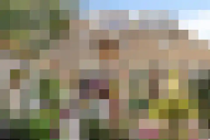 Bergmolen 3 Dinteloord thumbnail 25