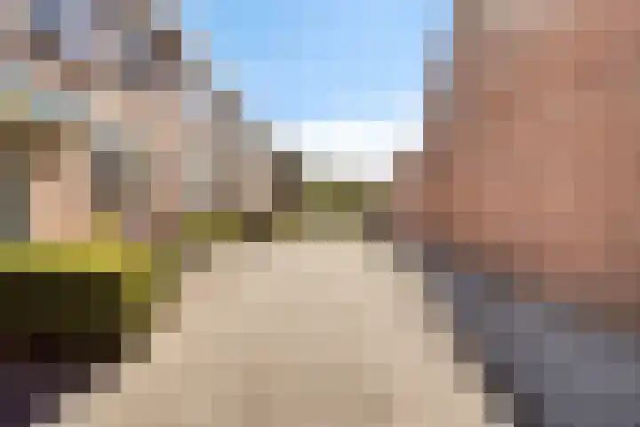 Bergmolen 3 Dinteloord thumbnail 28