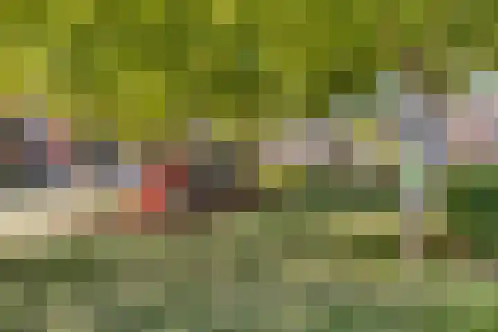 Bergmolen 3 Dinteloord thumbnail 29