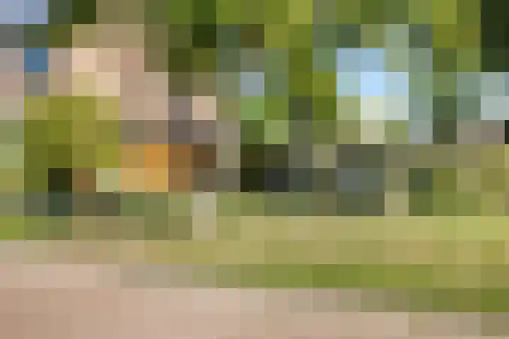 Bergmolen 3 Dinteloord thumbnail 30