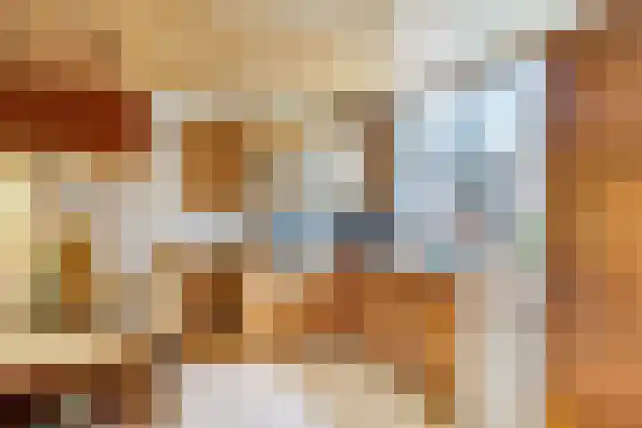 Bergmolen 3 Dinteloord thumbnail 4