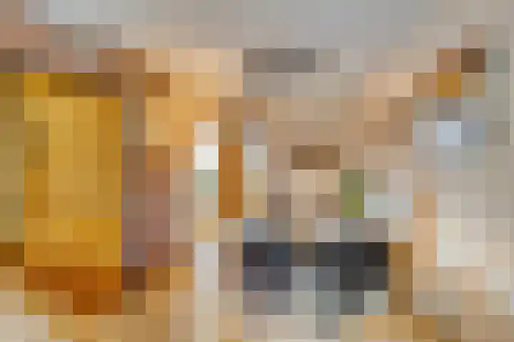 Bergmolen 3 Dinteloord thumbnail 9