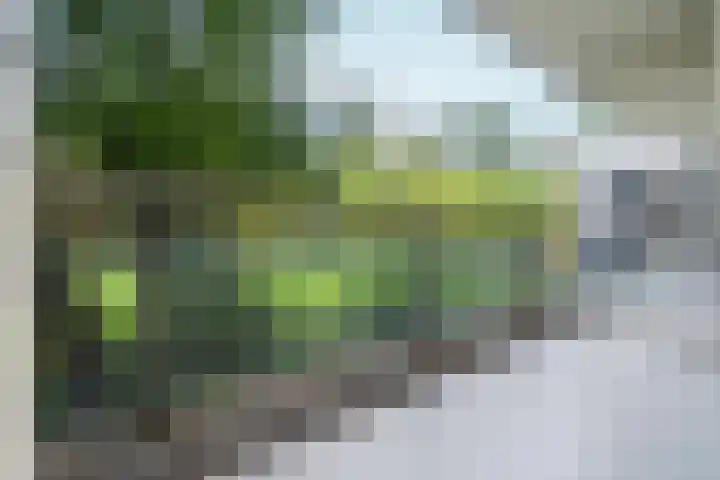 Bergmolen 4 Amsterdam thumbnail 14