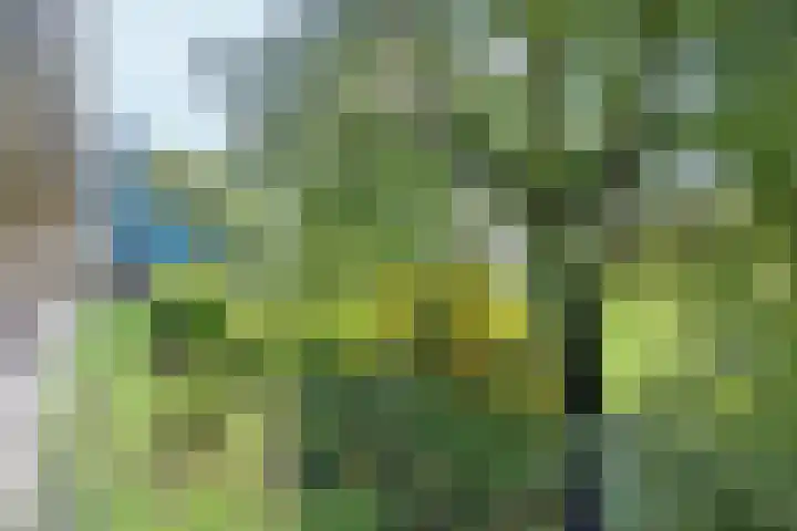 Bergmolen 4 Amsterdam thumbnail 22