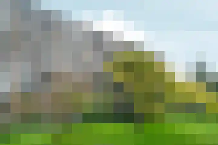 Bergmolen 4 Amsterdam thumbnail 23