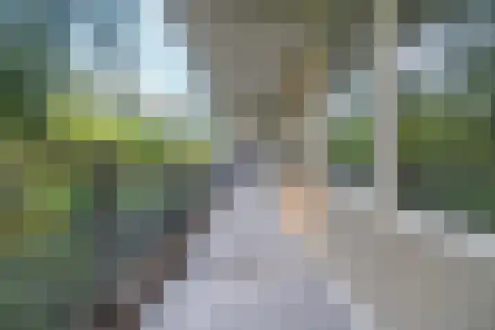 Bergmolen 4 Amsterdam thumbnail 6