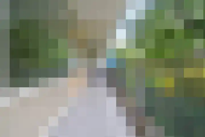 Bergmolen 4 Amsterdam thumbnail 7
