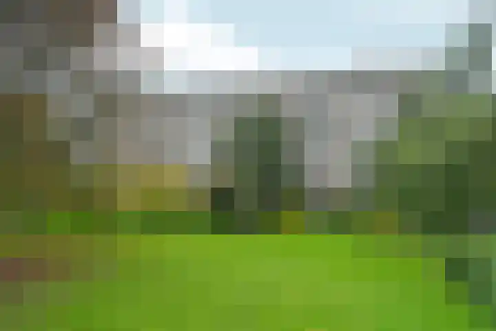 Bergmolen 4 Amsterdam thumbnail 8
